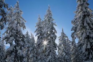 fun winter activities in Bend Oregon